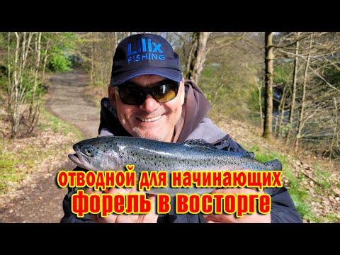 Видео: Отводной для начинающих.Форель в восторге.