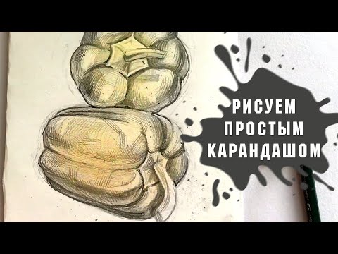Видео: Урок - Рисуем Перцы Болгарские Простым Карандашом За 15 Минут!