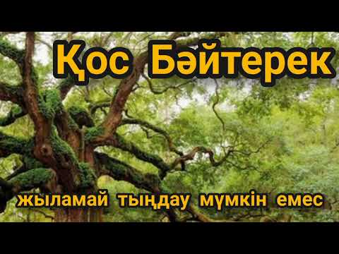 Видео: Жеңге болса осындай-ақ болсын!