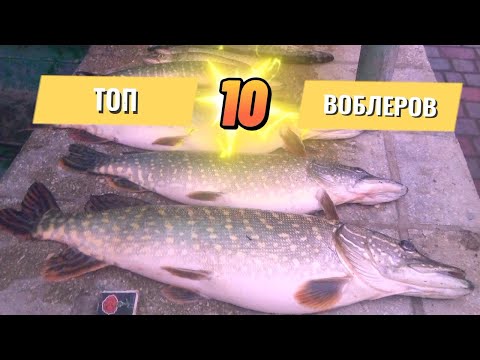 Видео: Топ 10 воблеров 2023 #рыбалка