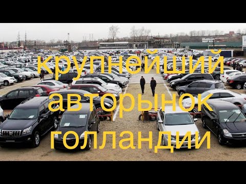 Видео: цены машин на авторынке в Нидерландах Голландия