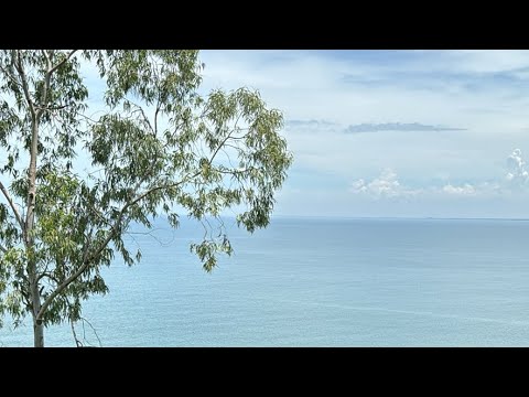 Видео: Идем к леди Будда