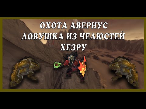 Видео: Охота, Авернус. Ловушка из челюстей. Хезру. КАРТА /Neverwinter-  Hunting For HEZROU. AVERNUS