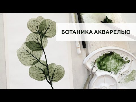 Видео: Ботаническая иллюстрация акварелью / Botanical illustration with watercolor