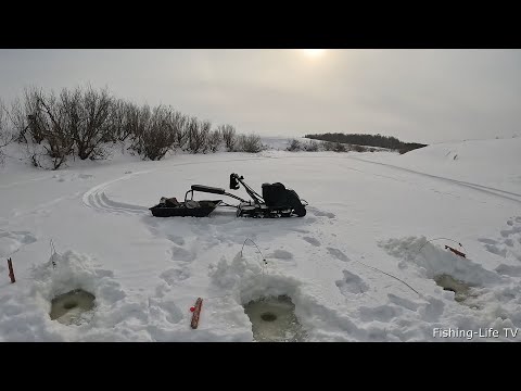 Видео: ПОСТАВИЛ 10 ХАПУГ НА КИВКИ С КОЛОКОЛЬЧИКАМИ, ТЕПЕРЬ Я ЕЁ НЕ УПУЩУ... РЫБАЛКА В ГЛУХОЗИМЬЕ...