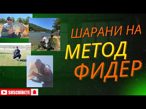 Видео: На  водоем За диви и борбени Шаранчета на METHOD FEEDER---стана добър риболов,храните сработиха