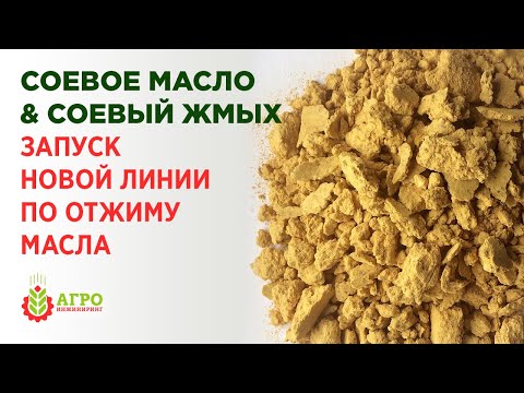 Видео: Соевое масло и жмых. Показываю новую работающую линию по отжиму соевого масла.