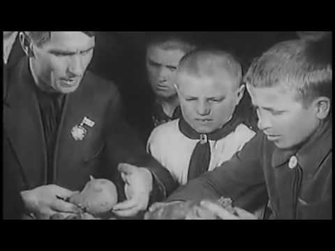 Видео: 6 серий из цикла "Осторожно, лженаука!"