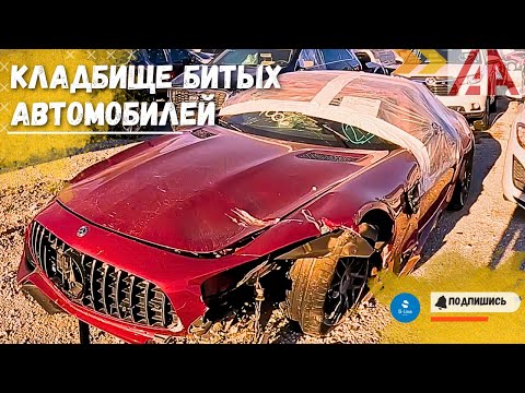 Видео: Авто аукцион IAAI кладбище битых машин