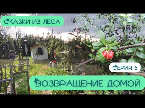 Видео: СКАЗКИ ИЗ ЛЕСА. ВОЗВРАЩЕНИЕ ДОМОЙ.