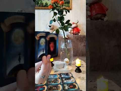 Видео: Сплетни о Вас) Слухи о Вас🗣️ среди женщин 👱🏻‍♀️👅и мужчин🧔😬