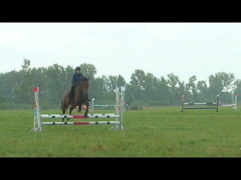 Видео: «Я в Бийске» - соревнования по конному спорту (Бийское телевидение)