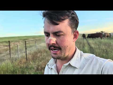 Видео: Стремительный рывок!