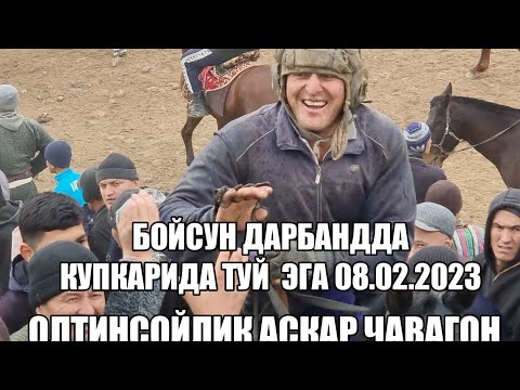 Видео: БОЙСУН ДАРБАНД КУПКАРИДА ТУЙ ЭГА СОВРИН 08.02.2023