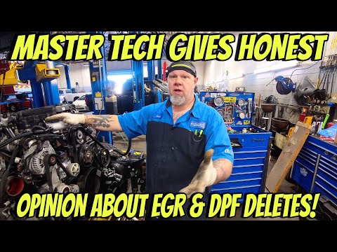 Видео: Master Tech отвечает на вопрос: EGR или DPF: программа похудения! Можно ли выбрать один вариант?