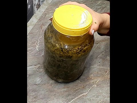 Видео: 👌Так КАПУСТУ Вы точно еще не Квасили 📌💯 СТАРИННЫЙ РЕЦЕПТ Квашеной Капусты на Щи ❗❗❗ КРОШЕВО 📌