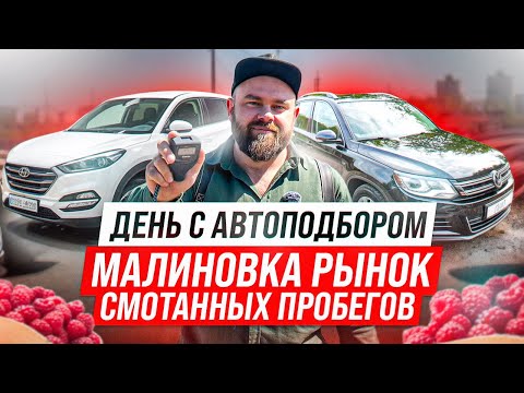 Видео: "Малиновка - рынок смотанных пробегов" | Наши честные машины | #саняпоможет