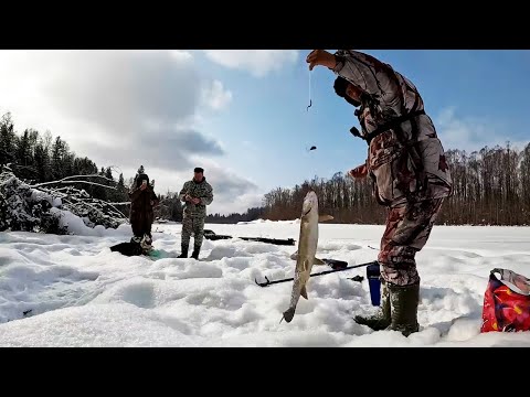 Видео: ЗИМНЯЯ РЫБАЛКА НА 3 ДНЯ. Удивительные приключения и ловля ленка зимой. Горная рыбалка на Амуре.