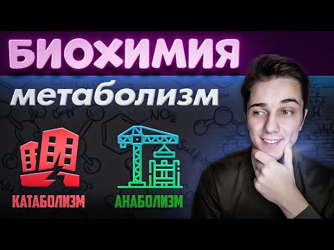 Видео: БИОХИМИЯ ПОЛНЫЙ КУРС | Лекция 1 | Метаболизм