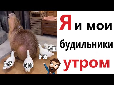 Видео: Приколы! 😱 Я И МОИ БУДИЛЬНИКИ! Смешные видео - Доми шоу!