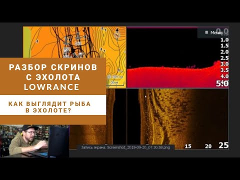 Видео: Как выглядит рыба в эхолоте? Разбор скринов с эхолота Lowrance HDS Live 9", Elite Ti2 9".