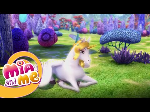 Видео: Мия и Я - 2 сезон 9 серия - Детское TV