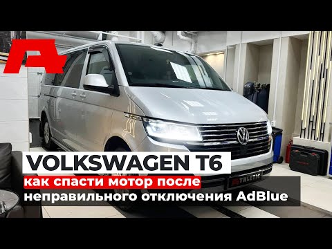 Видео: Качественное и безопасное отключение AdBlue, DPF и Чип-тюнинг на VW T6 (Multivan, Caravelle)!