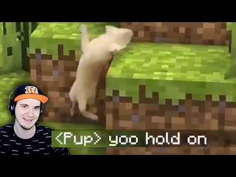 Видео: ЗАСМЕЯЛСЯ - ПРОИГРАЛ ► ЛУЧШИЕ ПРИКОЛЫ ( УЛЫБНУЛИСЬ ПРОИГРАЛИ UNUSUAL MEMES ) | Реакция