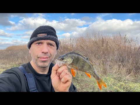 Видео: На рыбалке , без рыбы не возвращаюсь !