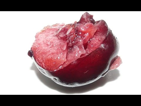 Видео: Как убрать червяков из черешни