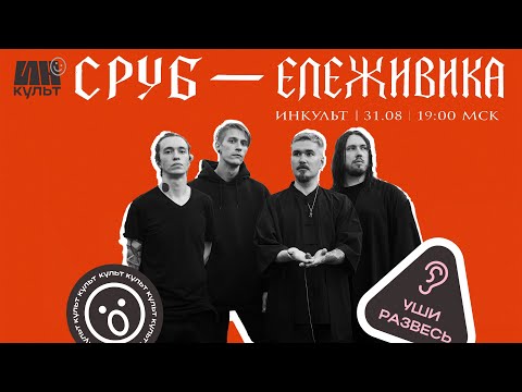 Видео: ИНКульт: Разбираем Новый Альбом «Ележивика» с Группой Сруб!