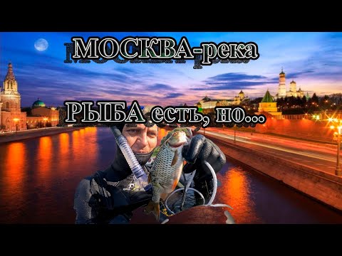 Видео: Подводная охота, Москва река. (ПЕРЕЗАЛИВ)