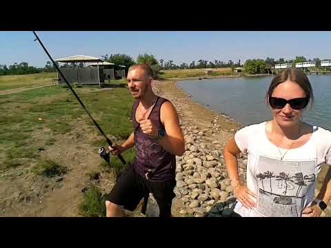 Видео: База Ермак август 2023 год