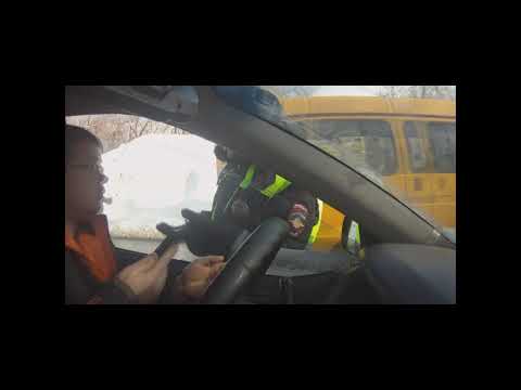 Видео: Радаев 2