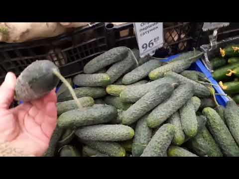 Видео: ЗАКУПИЛАСЬ БЕСПРЕДЕЛ