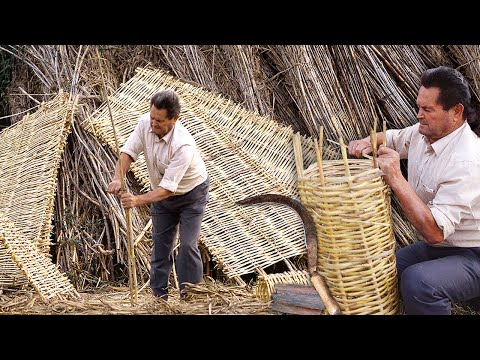 Видео: Производители тростника и их умение вручную оплетать ульи и тростник диким тростником.