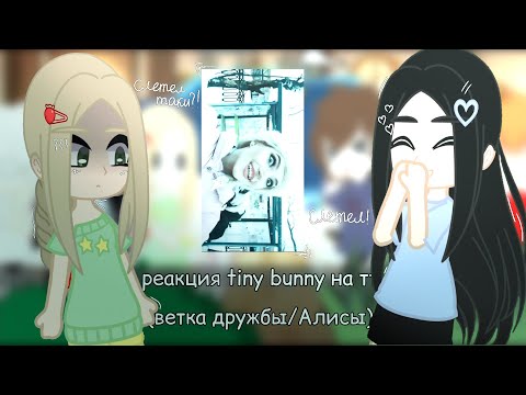 Видео: Реакция 5 даунов и одного мясокомбината на короткие видео (tiny bunny на тт) 3 часть || Kigito