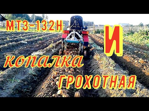 Видео: Уборка картофеля на двух участках