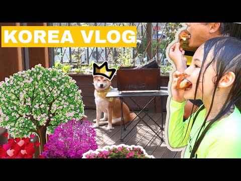 Видео: Вернулась домой, а дома бардак ^^ Домашний влог / KOREA VLOG /