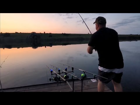Видео: Ловля карпа в июне.  Карповая рыбалка на водоеме Старорязанский!