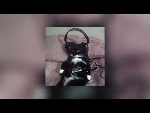 Видео: я тебя люблю – где фантом? | speed up