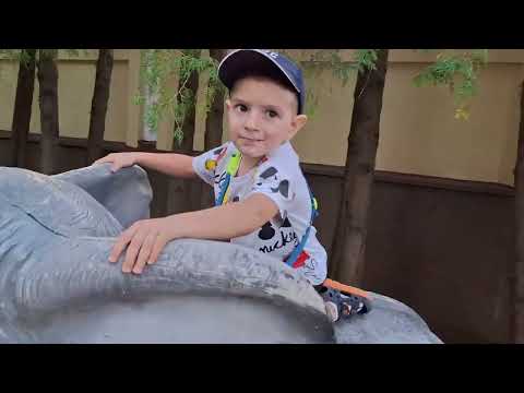Видео: ЗБИРАЮСЬ В СЕЛО