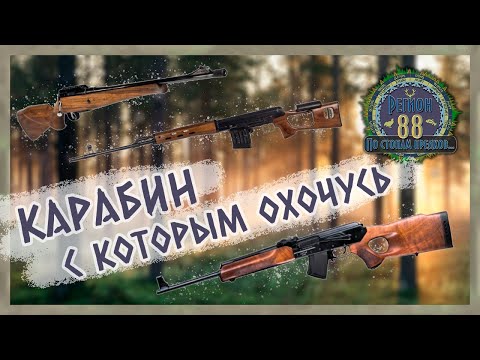 Видео: Регион 88 | Карабин с которым охочусь. Тигр, Лось, Вепрь.