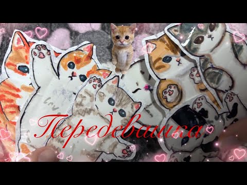 Видео: Одеваем котиков💞. Распаковка бумажных сюрпризов🔥. Paper twins.