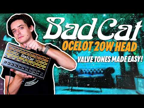 Видео: Является ли Bad Cat Ocelot ЛУЧШИМ студийным усилителем?
