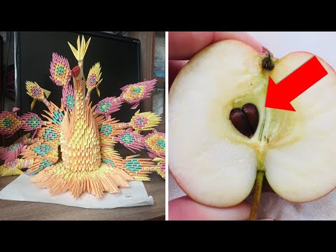 Видео: Фото подписчиков Фактории (часть 7)