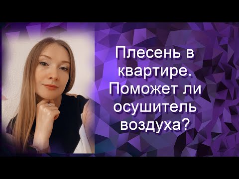 Видео: Плесень в квартире. Помогает ли осушитель? Обзор осушителя воздуха Inventor.