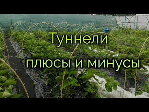 Видео: Плюсы и минусы туннелей.