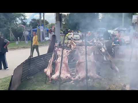 Видео: Аргентина. Выехали на праздник fiesta de cordero en Mar De Cobo.