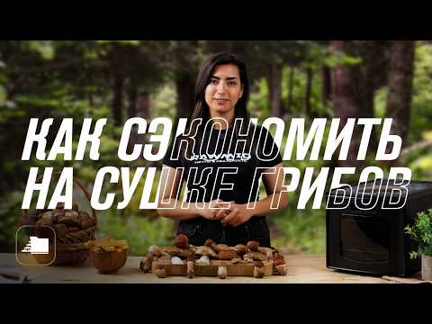 Видео: Задумались, как сохранить грибы на зиму?